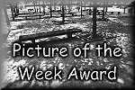 Picture of the Week Award